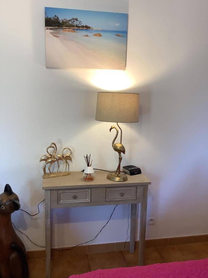 Charmant Appartement 2 Pieces Eccica-Suarella  Eksteriør bilde