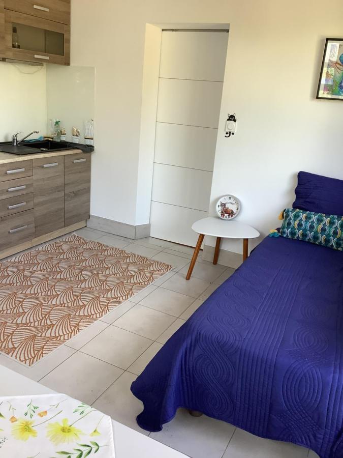 Charmant Appartement 2 Pieces Eccica-Suarella  Eksteriør bilde